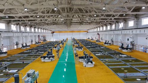 十六個(gè)季度的奮進(jìn)答卷 金昌市以新能源技術(shù)開(kāi)發(fā)驅(qū)動(dòng)經(jīng)濟(jì)社會(huì)高質(zhì)量發(fā)展紀(jì)實(shí)